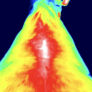 bildschirmfoto-2023-01-17-um-14-48-06